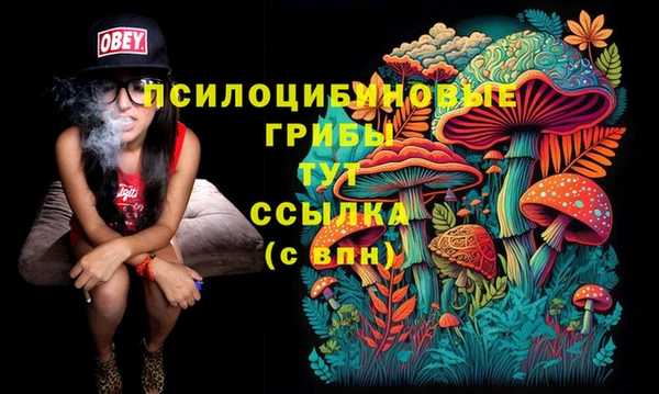 экстази Пестово