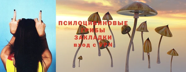 бутират Переславль-Залесский