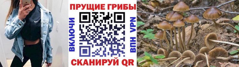 кракен ССЫЛКА  даркнет как зайти  Галлюциногенные грибы Psilocybe  Красноуфимск 